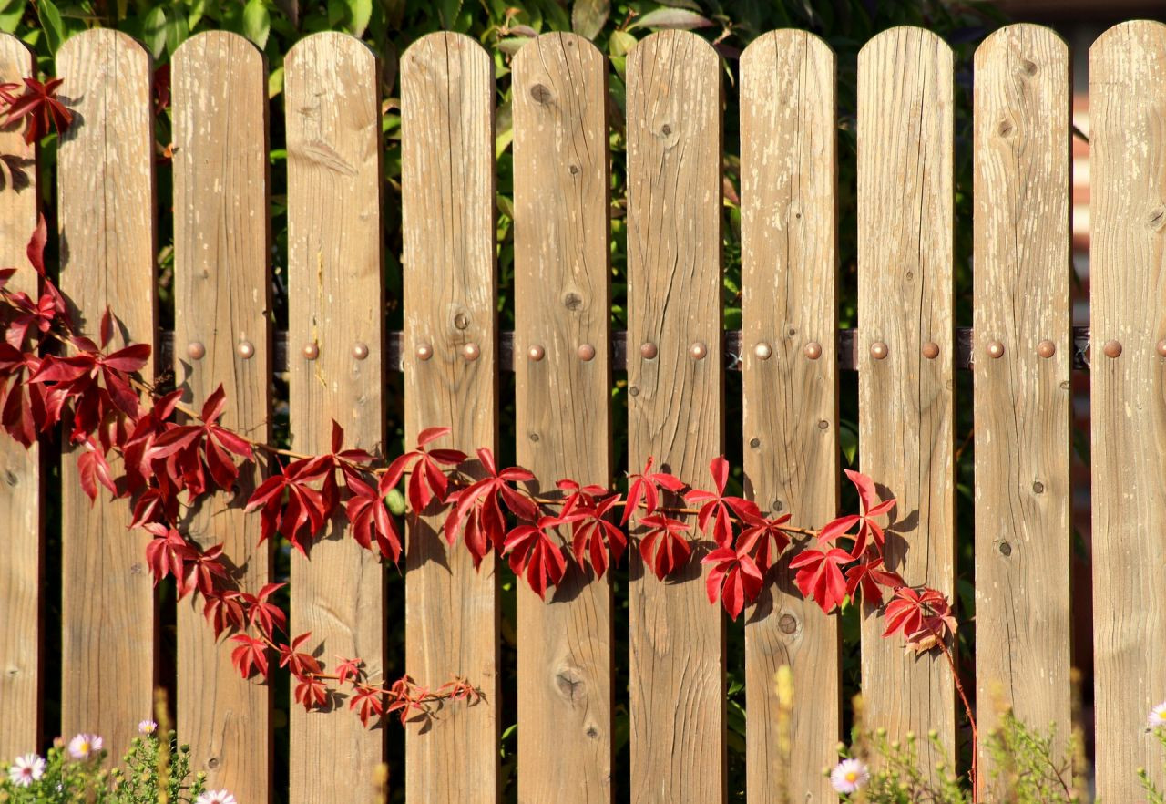 Fence Painting, Staining and Repair